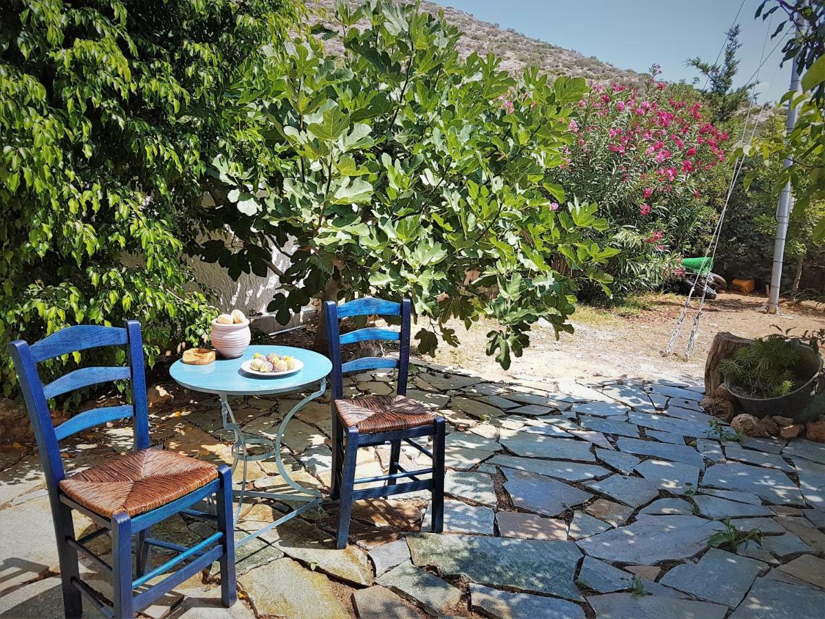 Nadia'S Traditional Greek House Anavyssos Dış mekan fotoğraf